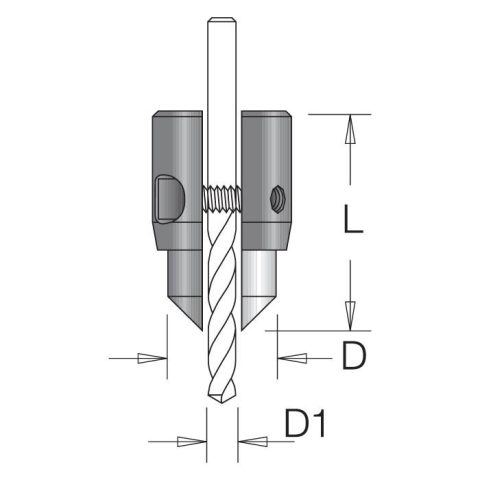 202 Cs 1.jpg